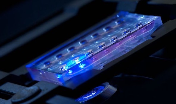 Novel Microfluidic Oncology Screen